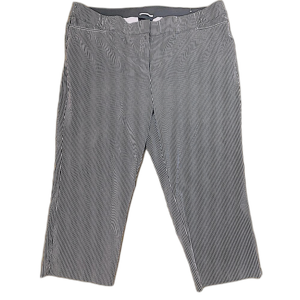 Lane Bryant The Allie Striped Pants